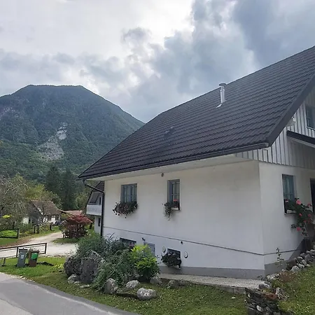 Luka At Soca & Koritnica Confluence Appartement *